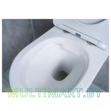 Унитаз Gid Ws2198 картинка 3
